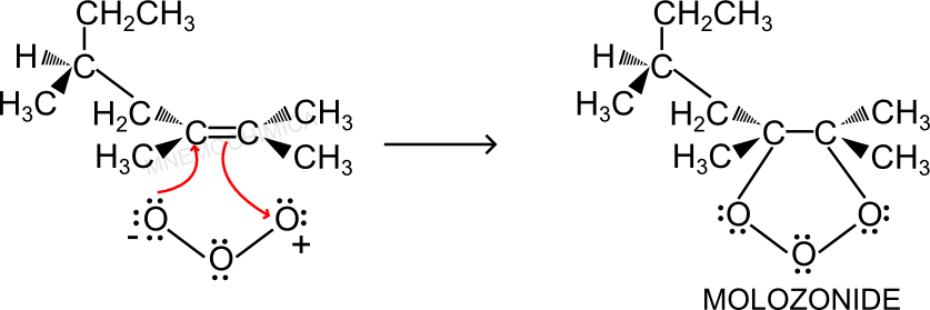 Formazione del molozonide dal (S) 2,3,5-trimetil-2-eptene