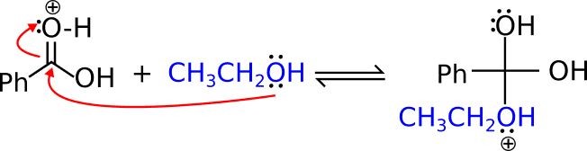 l'alcol agisce da nucleofilo e si lega al carbonio carbossilico